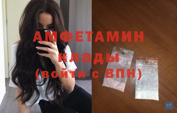 прущие грибы Армянск