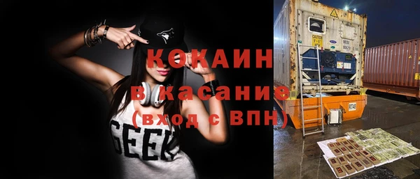 прущие грибы Армянск
