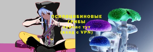 крисы Аркадак