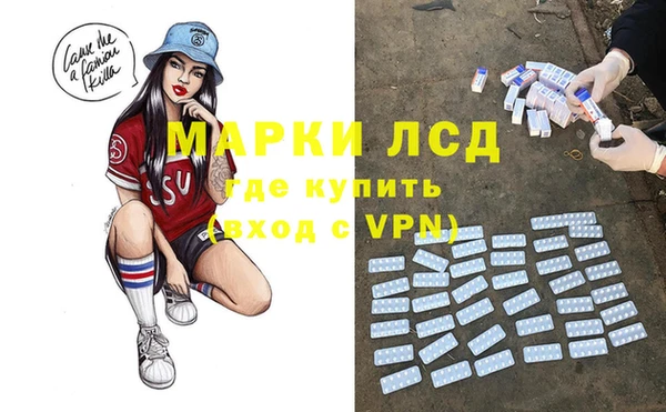 крисы Аркадак