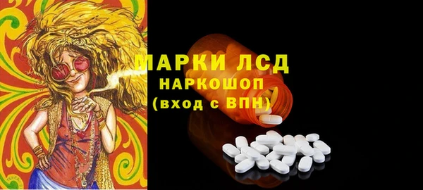 прущие грибы Армянск