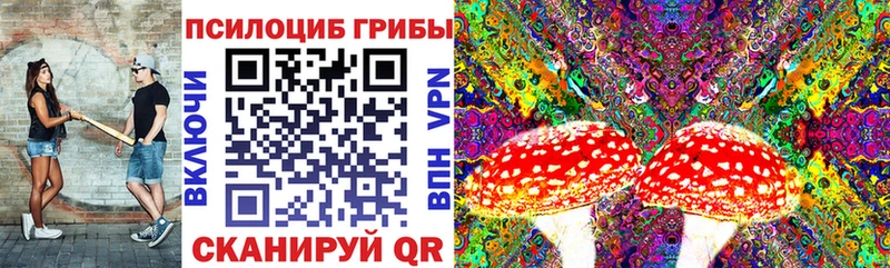 Галлюциногенные грибы ЛСД  Нижняя Тура 